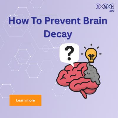 How To Prevent Brain Decay