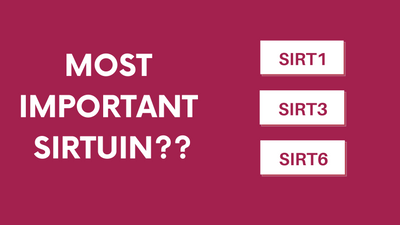 Sirtuin 1, Sirtuin 3 & Sirtuin 6: Which One is the Coolest??