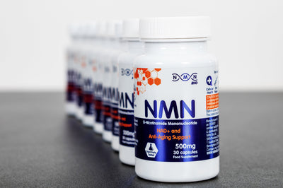How does NMN Boost NAD+?
