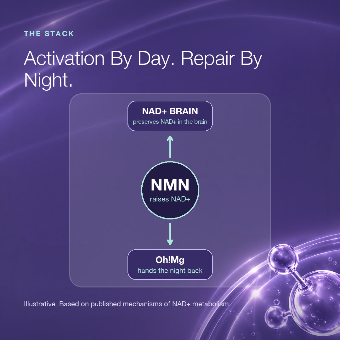 Morning Bundle | NAD+ Brain | NMN | TMG