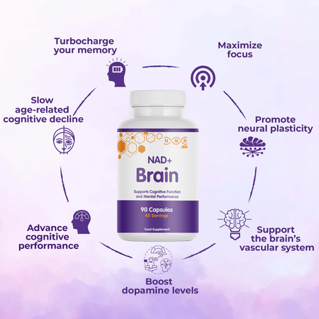 Morning Bundle | NAD+ Brain | NMN | TMG