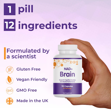 Morning Bundle | NAD+ Brain | NMN | TMG