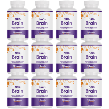 NAD+ Brain | Healthy Brain Aging | Nootropic