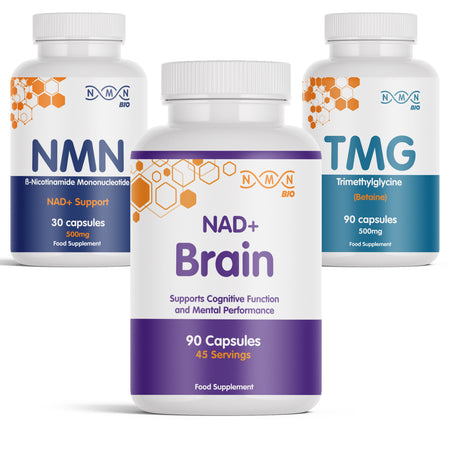 Morning Bundle | NAD+ Brain | NMN | TMG