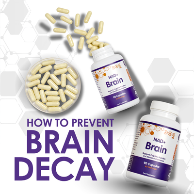How To Prevent Brain Decay