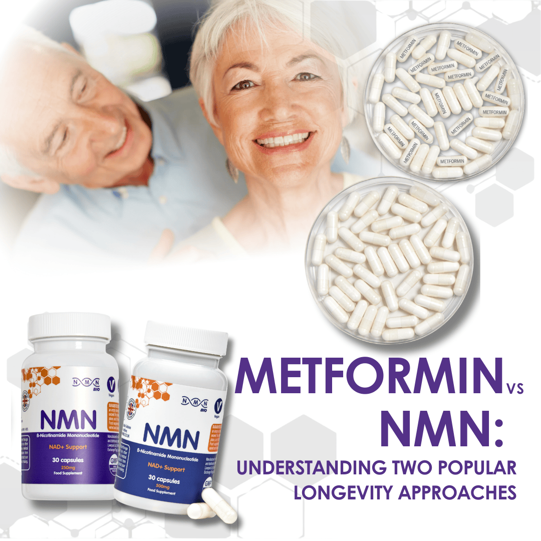 Metformin vs NMN