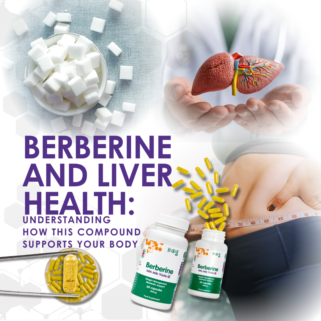 Berberine and liver health understanding how this compound supports your body