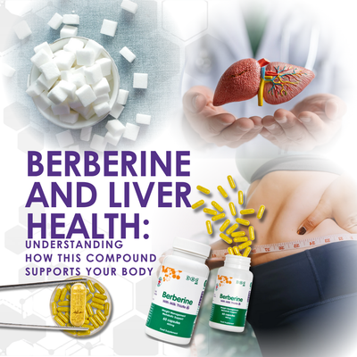 Berberine and Liver Health: Understanding How This Compound Supports Your Body