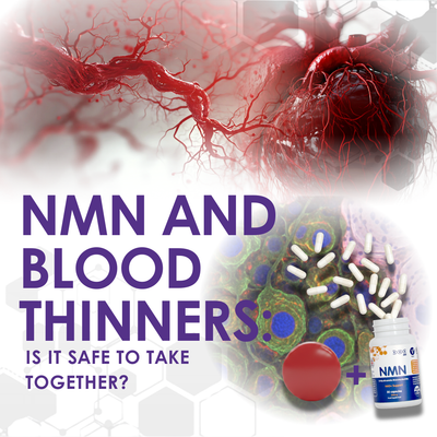 NMN and Blood Thinners: Is It Safe to Take Together? [2026 Guide]