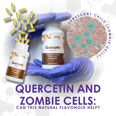 Quercetin and Zombie Cells: Can This Natural Flavonoid Help?