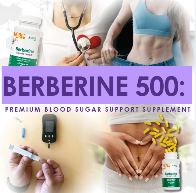Berberine 500: Premium Blood Sugar Support Supplement