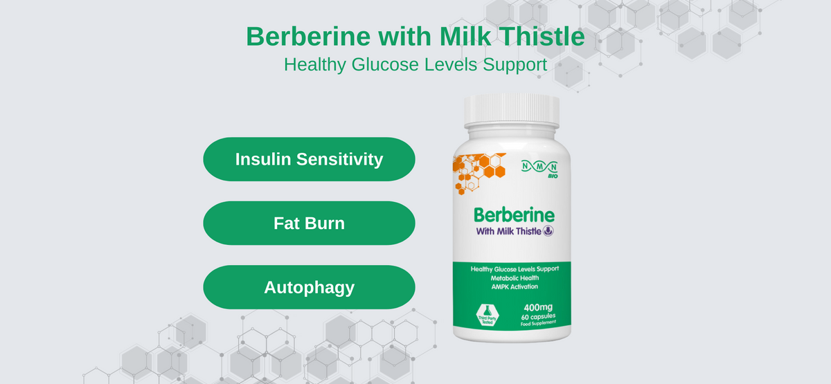 The Power of Sugar Balancing Berberine