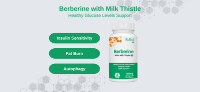 The Power of Sugar Balancing Berberine