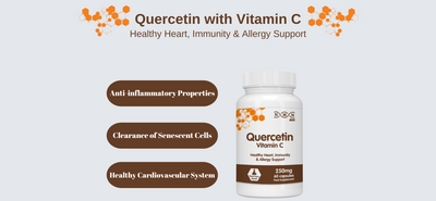 What is Quercetin?