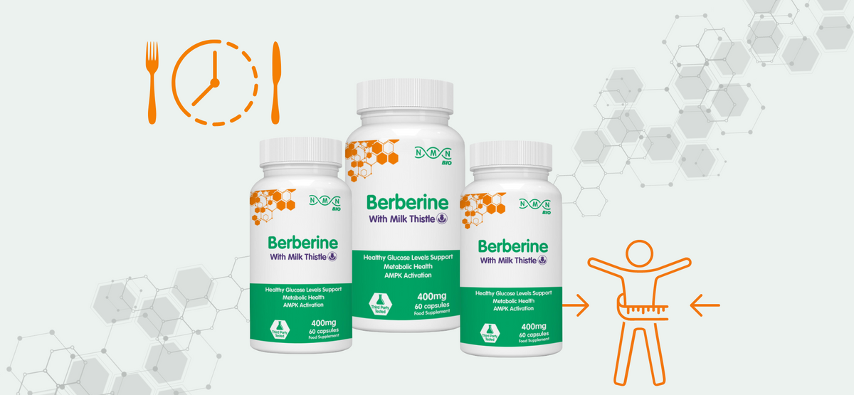 Does Berberine Break a Fast? Intermittent Fasting, Weight Loss and Berberine
