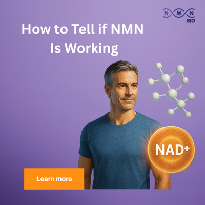 How to Tell if NMN Is Working: Real Signs, Science, and What to Expect