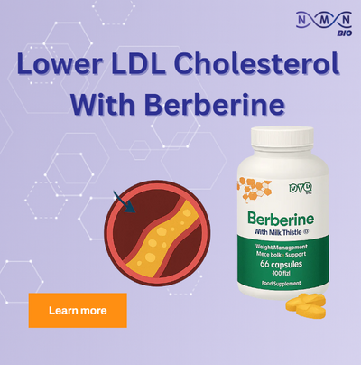 Berberine and Cholesterol: A Comprehensive Guide