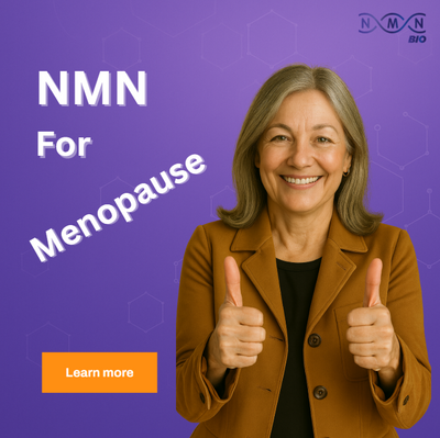 NMN for Menopause: Our Guide