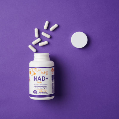 Improve Memory and Focus As You Age