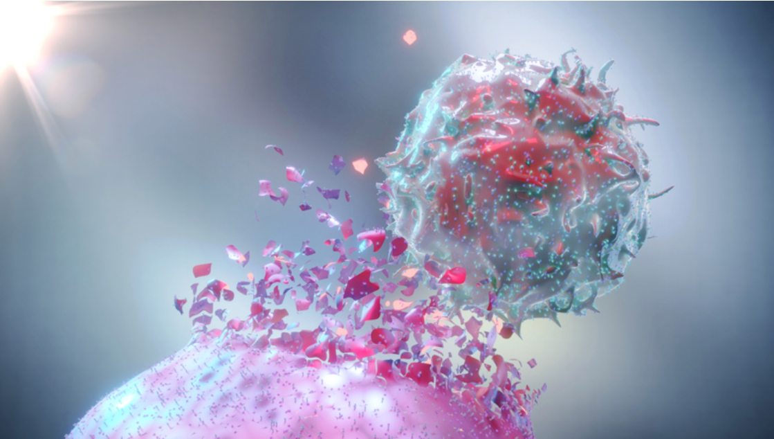 Does NMN Promote Cancer Growth?
