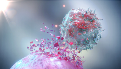 Does NMN Promote Cancer Growth?