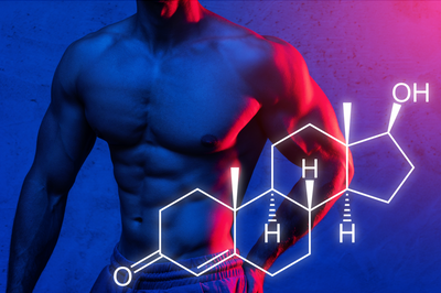 Does Apigenin Increase Testosterone?