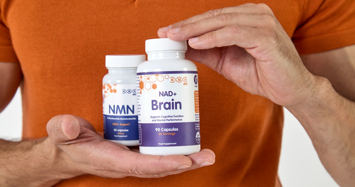 NMN and Brain Health: How NAD+ Decline Explains Cognitive Ageing