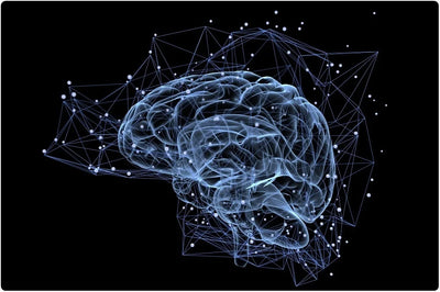 The Role of Zinc and Memory: Enhancing Cognitive Function and Wellness