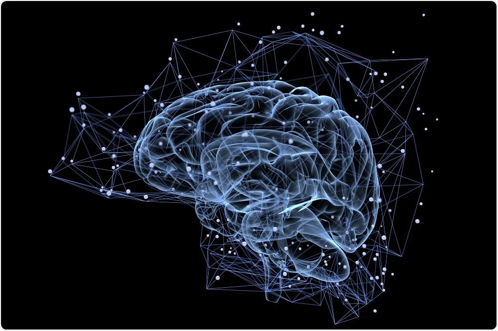 The Role of Zinc and Memory: Enhancing Cognitive Function and Wellness