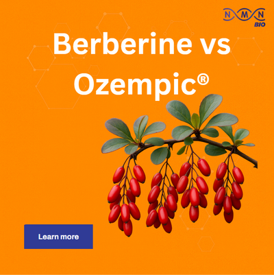 Berberine vs Ozempic® for Weight Loss