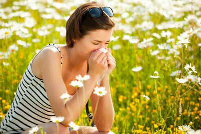 The 10 Best Natural Hayfever Remedies to Relieve Allergy Symptoms