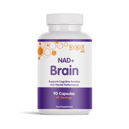 NAD+ Brain | Healthy Brain Aging | Nootropic