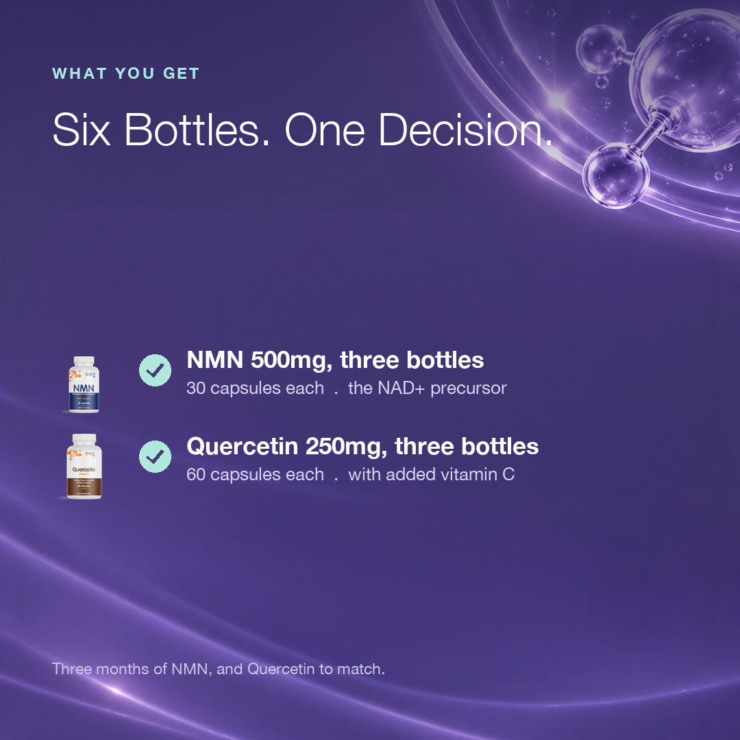 Endurance Bundle: NMN + Quercetin and Vitamin C