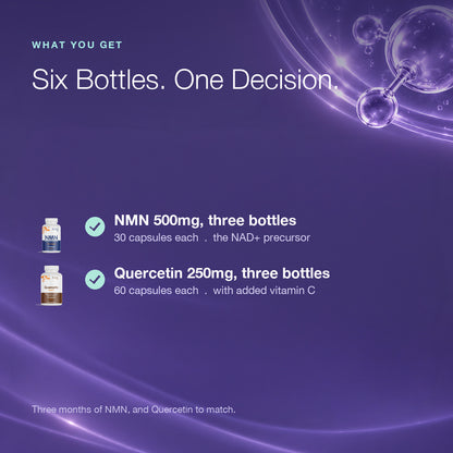 Endurance Bundle: NMN + Quercetin and Vitamin C