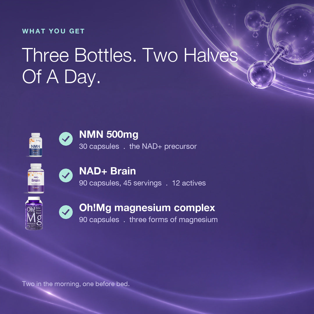 Day & Night Bundle