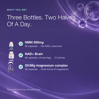 Day & Night Bundle