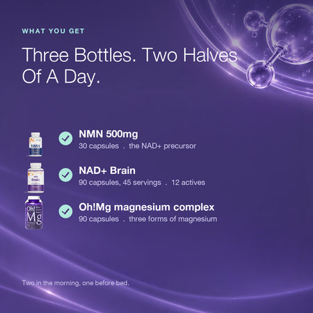 Day & Night Bundle