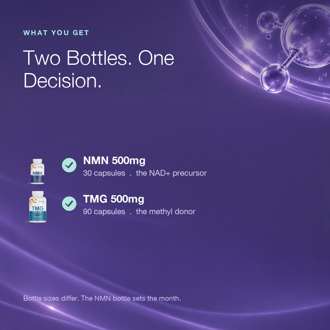 Longevity Essentials Bundle