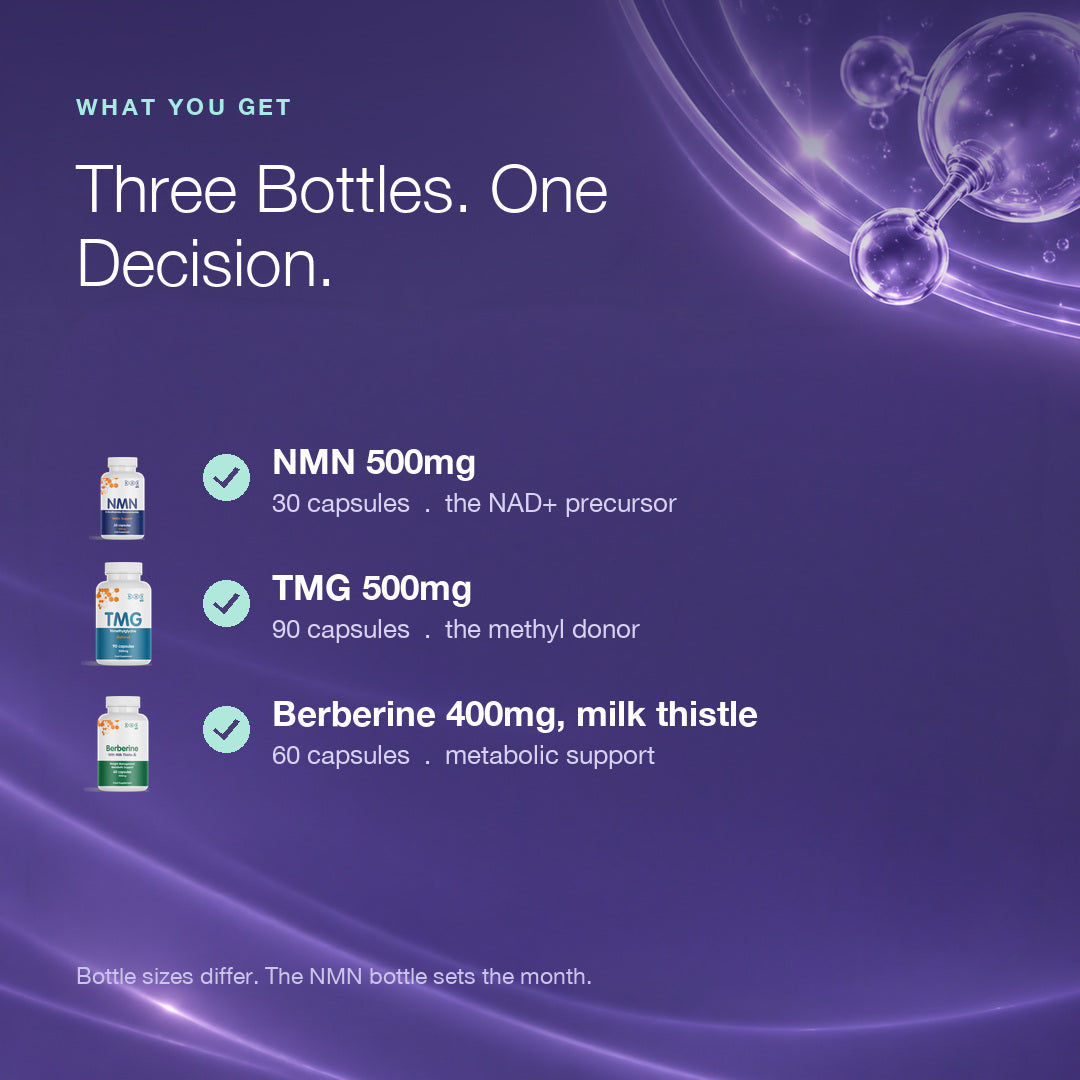 Metabolic Health Bundle