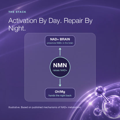 Morning Bundle | NAD+ Brain | NMN | TMG