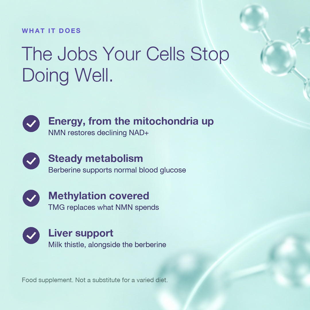 Metabolic Health Bundle