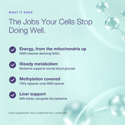 Metabolic Health Bundle