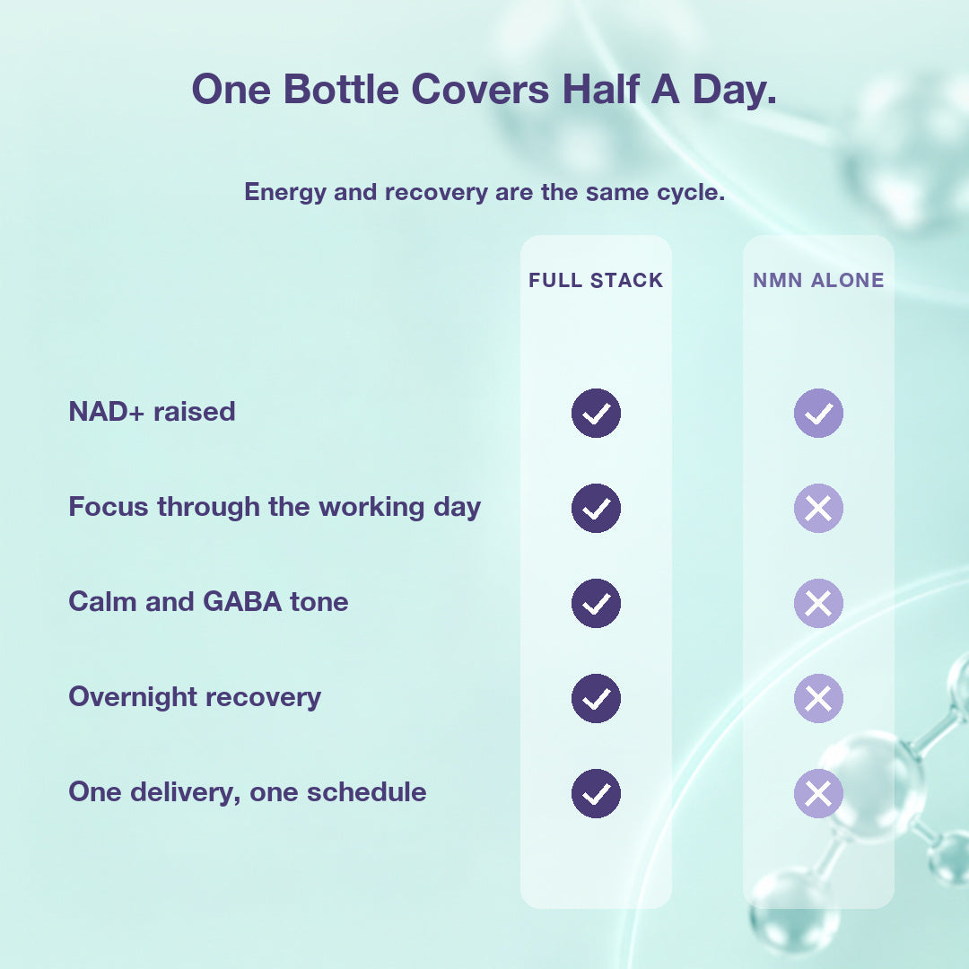 Day & Night Bundle