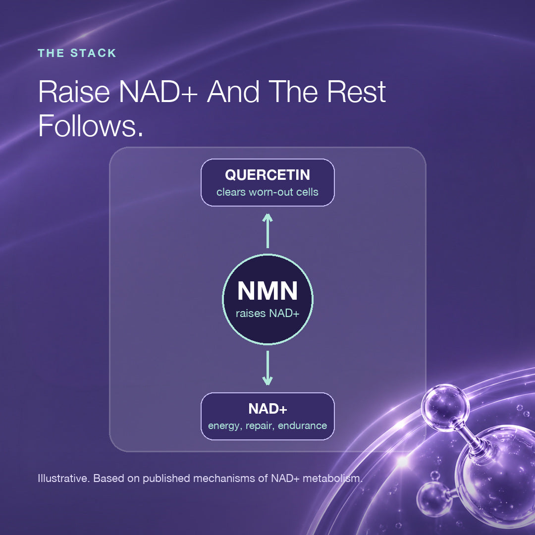 Endurance Bundle: NMN + Quercetin and Vitamin C
