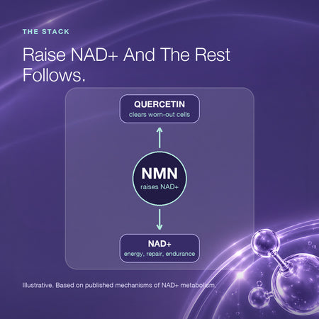 Endurance Bundle: NMN + Quercetin and Vitamin C