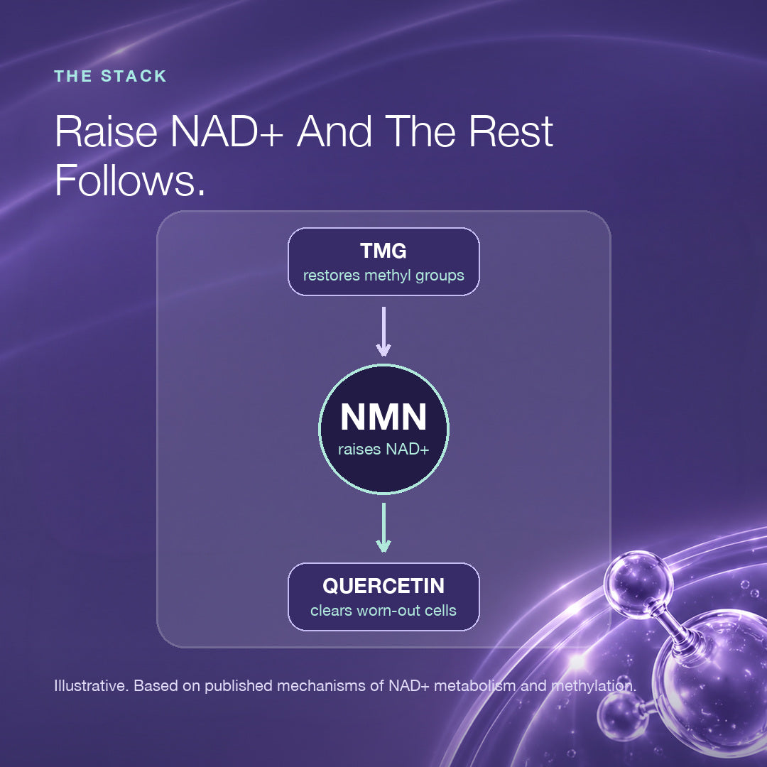 Longevity Starter Pack | NMN | TMG | Quercetin