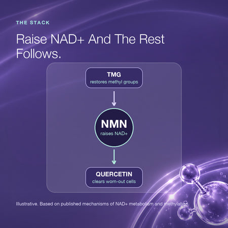 Longevity Starter Pack | NMN | TMG | Quercetin