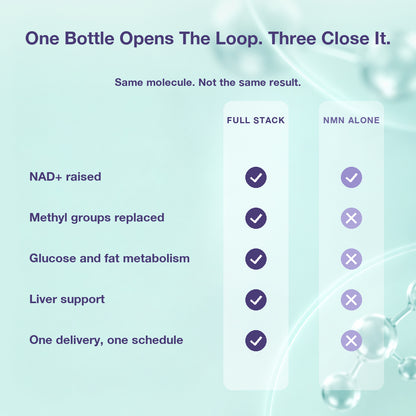 Metabolic Health Bundle