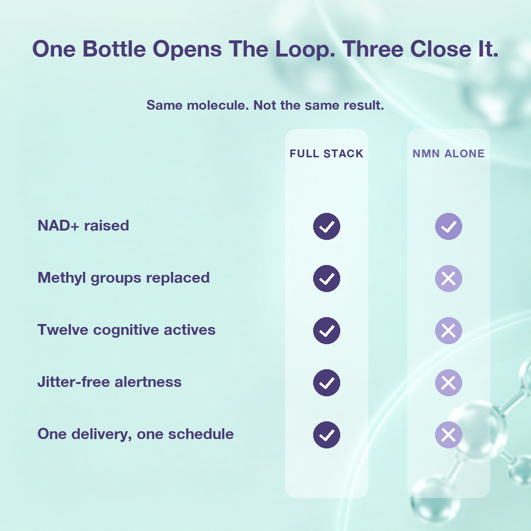 Morning Bundle | NAD+ Brain | NMN | TMG