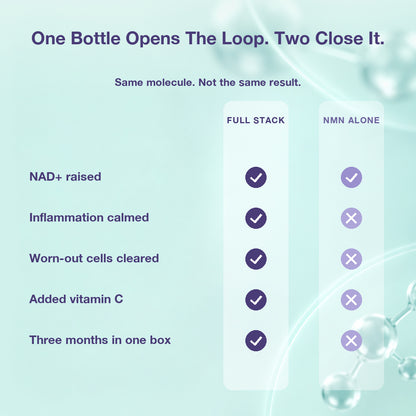 Endurance Bundle: NMN + Quercetin and Vitamin C